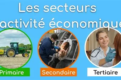 Les différents secteurs de l’économie et leurs interactions ECON1001